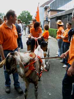 Paardemarkt parade te Torhout 30 juni 2007