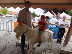 13de Geitenmarkt en schapententoonstelling te Eernegem op 28 juni 2015