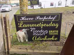 Lammetesdag te Adinkerke op 12 maart 2017