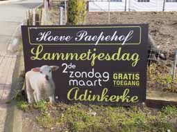 Lammetjesdag te Adinkerke op 11 maart 2018